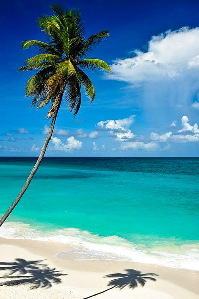 Barbados 